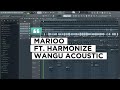 Marioo Feat Harmonize Wangu Acoustic