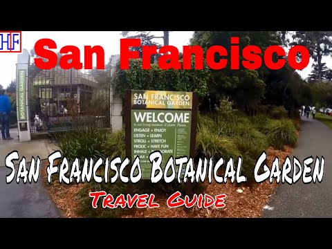 Video: San Francisco Botanical Garden: The Complete Guide