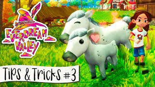 Everdream Valley Tips & Tricks #3 🌳 Final Quests Until Update