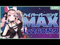 【サンデーメイプル】ハイバニMAXでLv260耐久(氷雷) #メイプルストーリー #vtuber #메이플