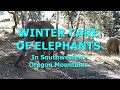 S02E11 - WINTER CARE OF ELEPHANT In Southwestern Oregon Mountains