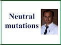 Neutral Mutations and Their Impact on Protein Synthesis