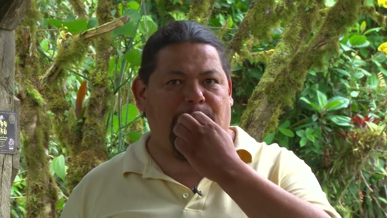 Serie 5  Bambuxina Pro