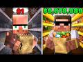 $1 vs $9,999,999 STORE in Minecraft!
