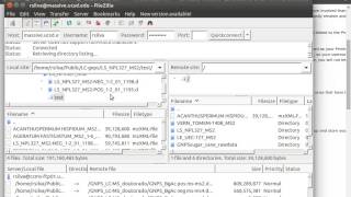 How to Upload .mzXML files to Massive