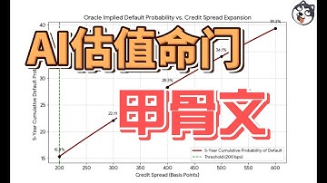 AI泡沫？甲骨文3000億美元賭局暴露七巨頭資本局！英偉達4.5萬億市值何去何从，CDS暴漲25倍預警！