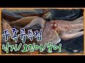 연체동물 두족류특집-낙지/오징어/문어 [어영차바다야 다시보기]
