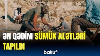 Hansı Heyvanların Sümüklərindən Material Kimi Istifadə Edildi? Tanzaniyada Araşdırma Aparıldı