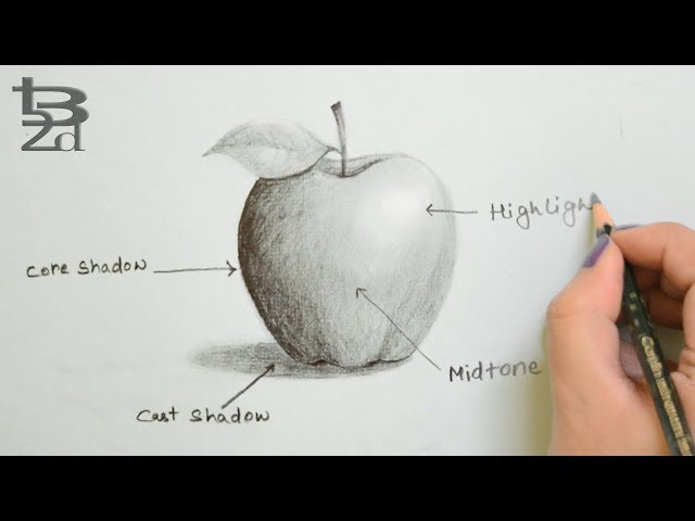 Shading Practice- Apple by Pinkygirl106 on DeviantArt