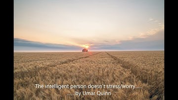 The intelligent person doesn