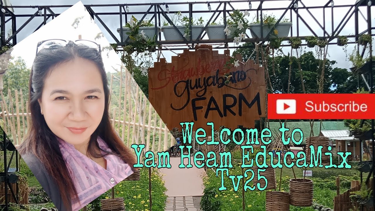 SG Farm|| Strawberry Guyabano Farm|| Yam Heam