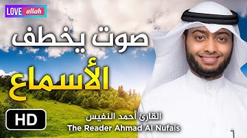 عندما يجتمع جمال القرآن مع روعة الأداء ♥️ سبحان من رزقه هذا الصوت و هدوئ في تلاوة I أحمد النفيس