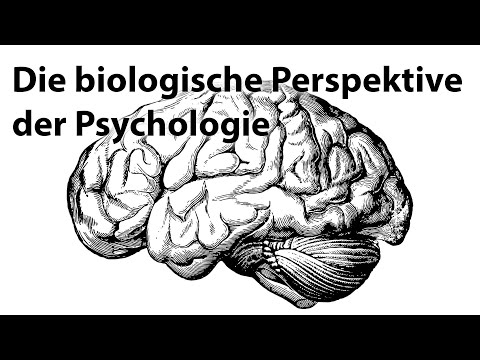 Video: Wer hat die biopsychologische Perspektive begründet?