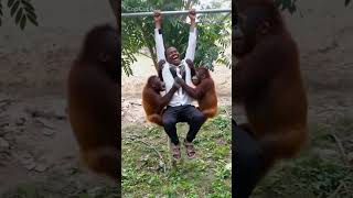 funny comedys short memes funnys shortviral shorts short