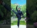 How Many Seconds Can You Persist In This Action Tai Chi Wushu Basic Skills Chinese Martial Arts 