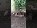 Гармония!!