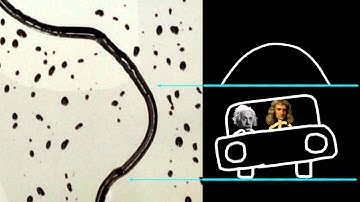 Meandering rivulets - Gallery of Fluid Motion - DFD APS 2012