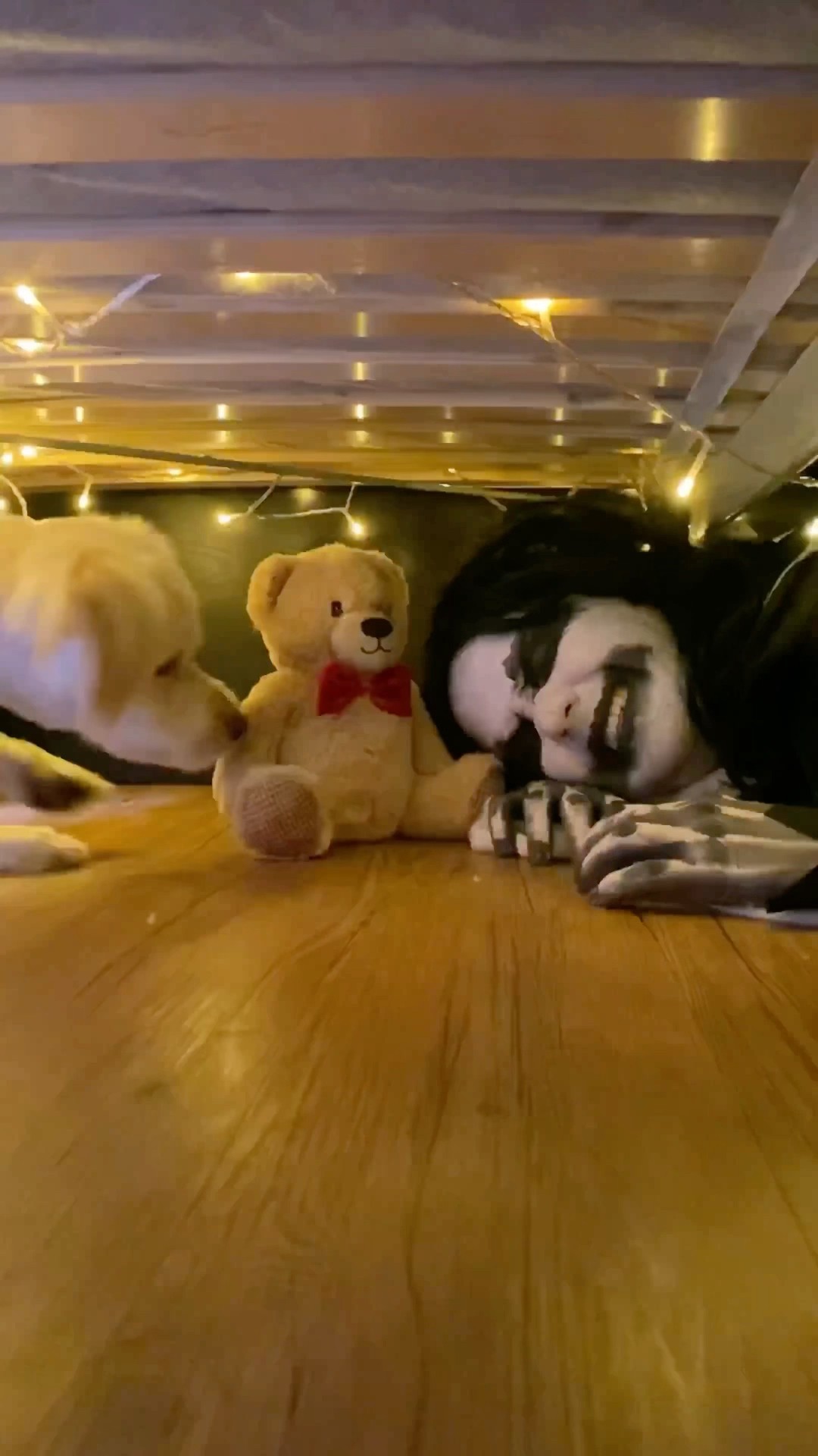 Dog destroys monster teddy bear ? #shorts
