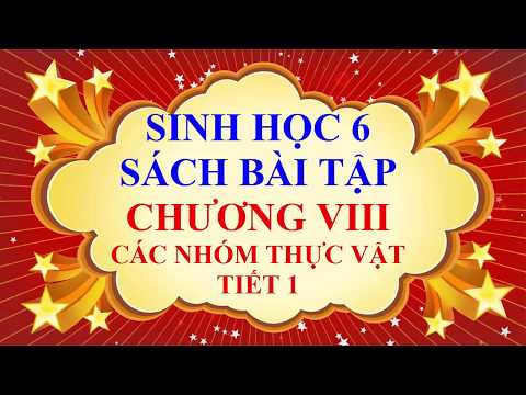 Video Sinh học lớp 6 - Sách bài tập - Chương 8 - Các nhóm... - YouTube