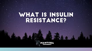 What Is Insulin Resistance?