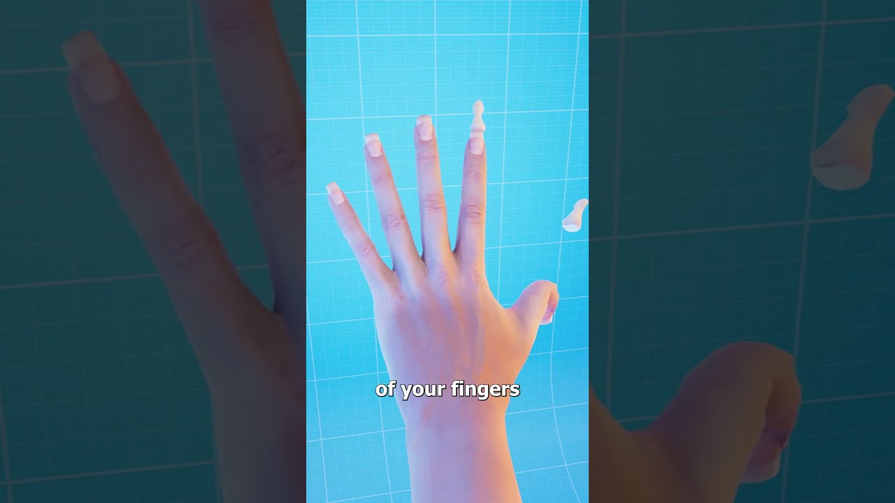 Could You Survive Without Bones 