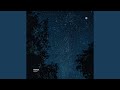 Nights 