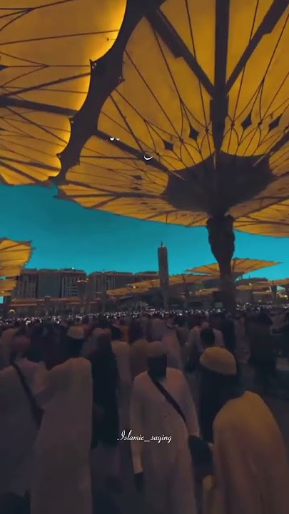 Assalamu Alayka (Arabic) |السلام عليك | Official Lyric Video