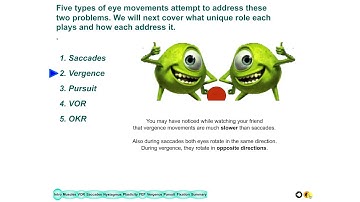 Lecture 11 Eye Movements 2017