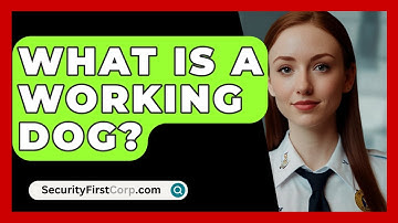 What Is A Working Dog? - SecurityFirstCorp.com
