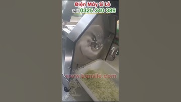 Máy thái sợi salad cải bắp, cắt sợi salad cải bắp, bào mỏng sợi salad cải bắp  năng suất 50-60kg/giờ