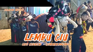 Full Mberot Lembu Ciu Cemorokandang Part 2