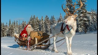 Departure of Santa Claus \& reindeer 🦌🎅 Christmas Lapland  Finland Father Christmas ride Rovaniemi