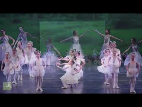 Goh Ballet Presents: The Quest of Don Quixote Highlights