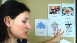 teaching strategy apu 000-71-8217