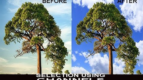Select Trees Using Channels in Adobe Photoshop CC 2018 || Graphic Tech