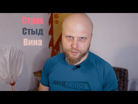 Страх, стыд, вина