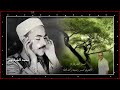 البقرة محمد رفعت البقرة محمد رفعت