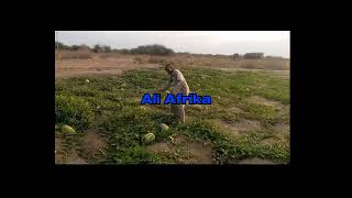 Inta Badan Dhalinta Dadaab Waxey Shaqo Ka Radsadan Xafisyada Un Lakin Waxa Jiraa Dhalin Ku Dhiratay