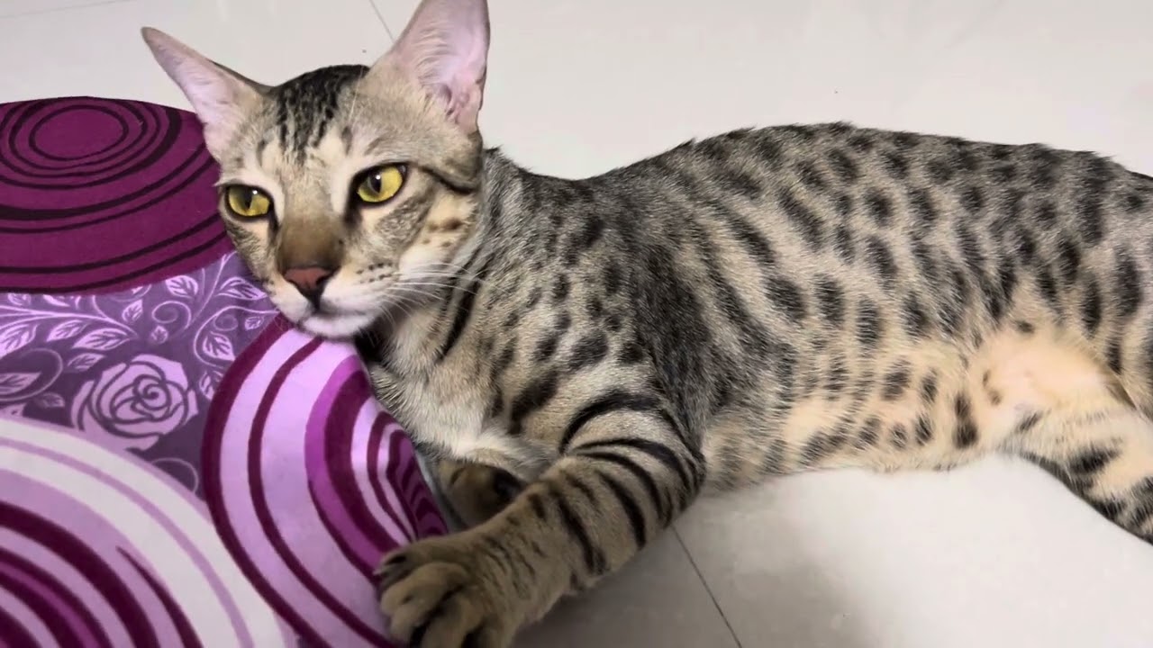 Pta nhi kya soch rha hai 