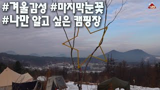 겨울 감성 캠핑 나만 알고 싶은 캠핑장 | 겨울끝자락 마지막눈꽃 | 하늘아래 뷰맛집 | [EP.27] (반려견동반캠핑, 네이처하이크TP텐트, 춘천여행, 별빛캠핑장, 겨울동계캠핑)