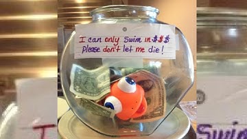 Top 10+ Creative and  Clever Tip Jars to Increase  Tips