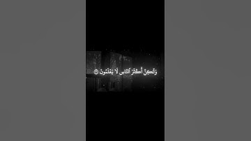 سورة الجاثيه الاية 26 | القارئ محمد اللحيدان🖤🤍