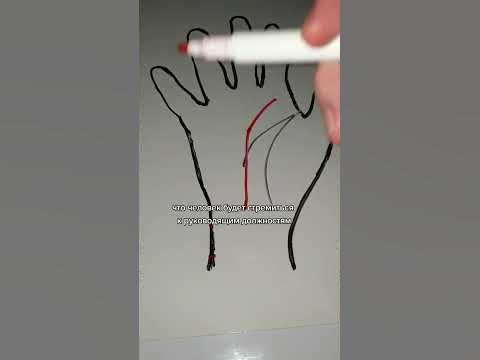 Тайна конца линии судьбы #хиромантия #судьба - YouTube