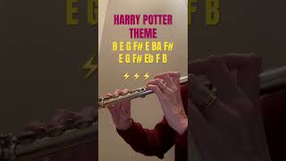 Harry Potter Theme On Flute