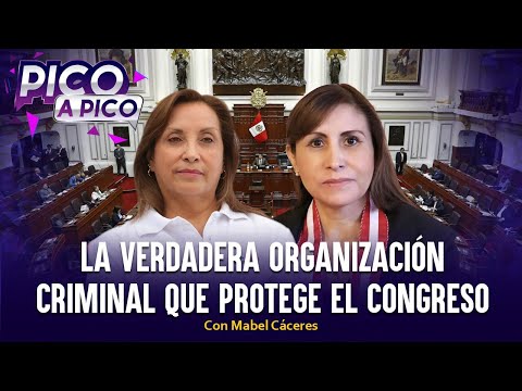 La verdadera organización criminal que protege el Congreso | Pico a Pico con Mabel Cáceres