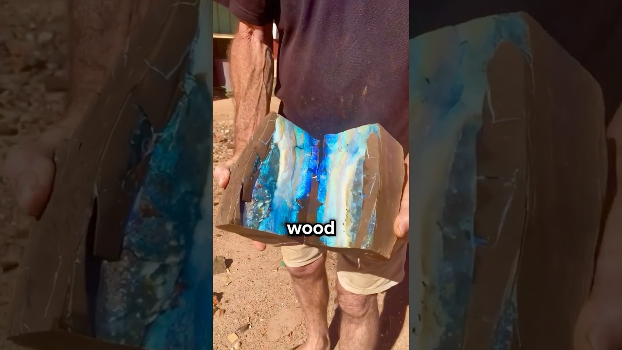 How Wood Turns Into Gems