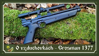 Vzduchovky pro přežití a Crosman 1377: recenze / test