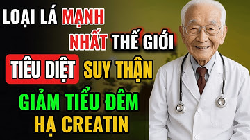 Loại Lá Quý GiúpTiêu Diệt Suy Thận, Hạ Creatinine, Hết Tiểu Đêm, Nước Tiểu Trong, Ngủ Ngon Sâu Giấc
