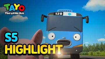 Tayo English Episode Highlight l A Race of Train vs. Bus l Tayo the Little Bus