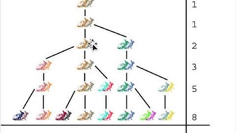 The Fibonacci Rabbit Problem